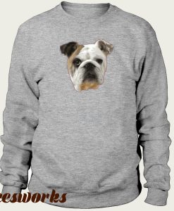 Sweater British Bulldog Men's Burgundy